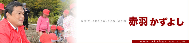 banner_profile